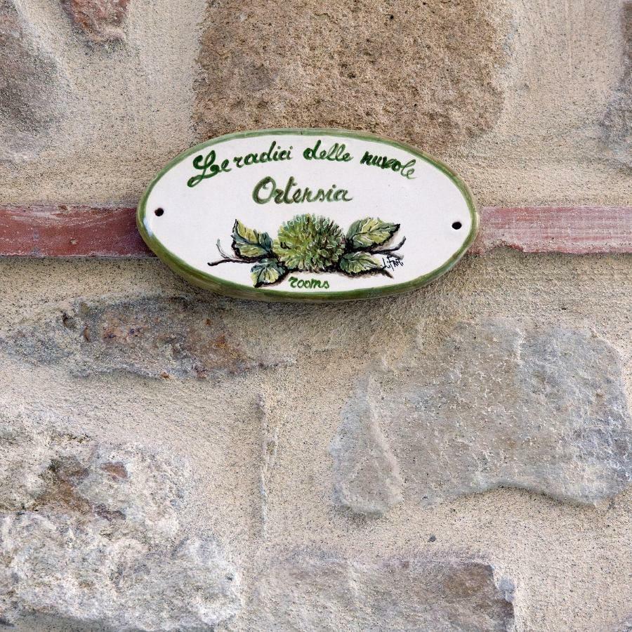 Le Radici Delle Nuvole Hotel Cairano Kültér fotó